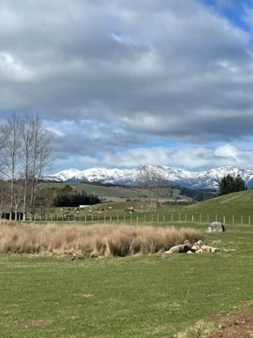 Boutique Tiny House - Te Anau Country Accommodation Экстерьер фото